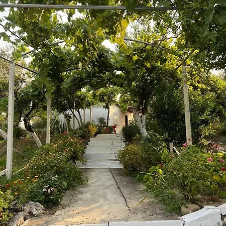 אכסניה Gjosasi House