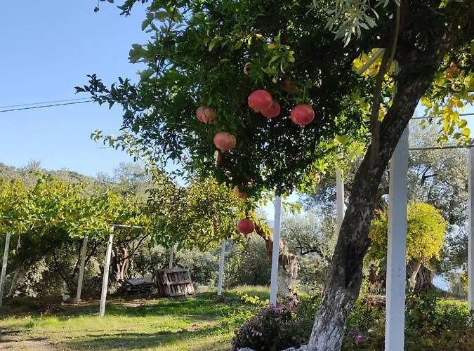 Gjosasi House *