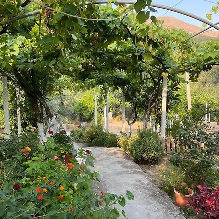 Gjosasi House Chata *