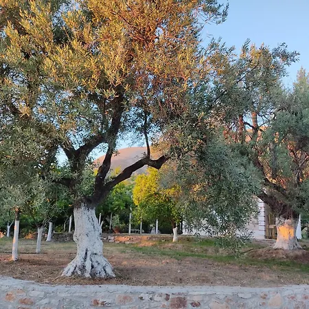 Chata Gjosasi House Lukovë