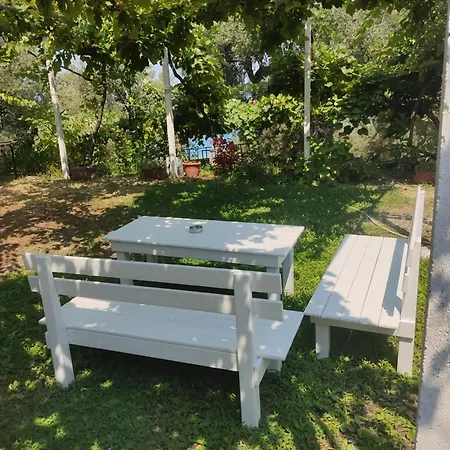 Gjosasi House אכסניה