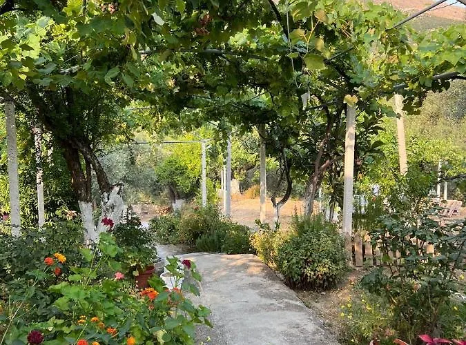 Gjosasi House بيت خشبي *