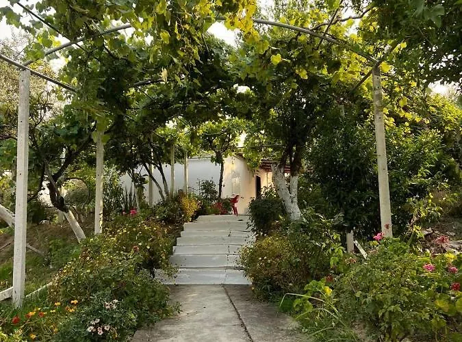 Lodge Gjosasi House